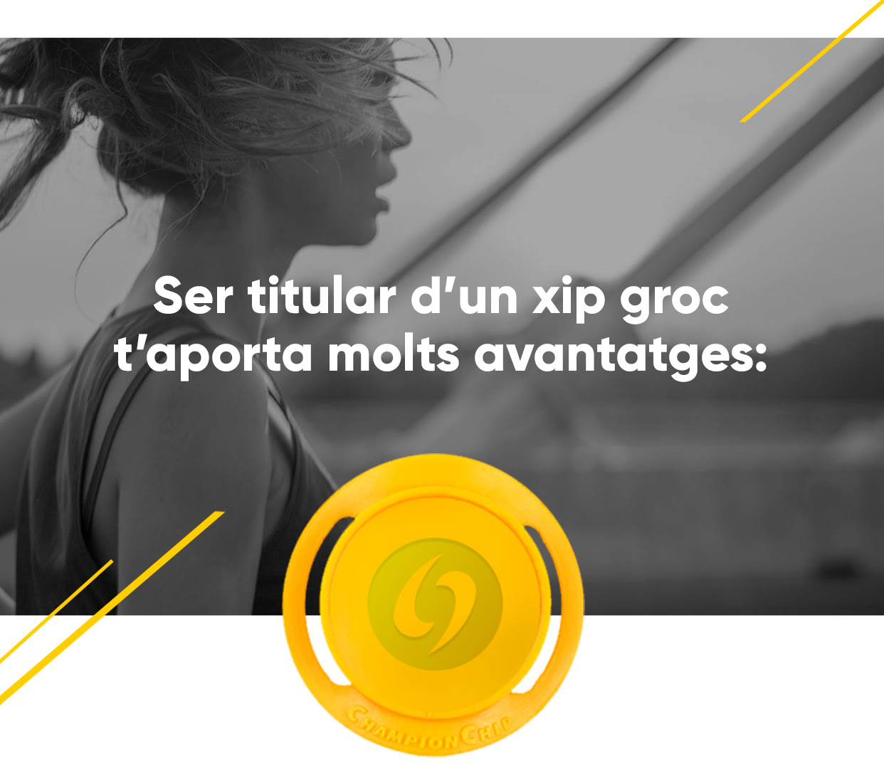 Comprar xip groc Championchip